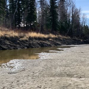 Meet your Posher, Krisha